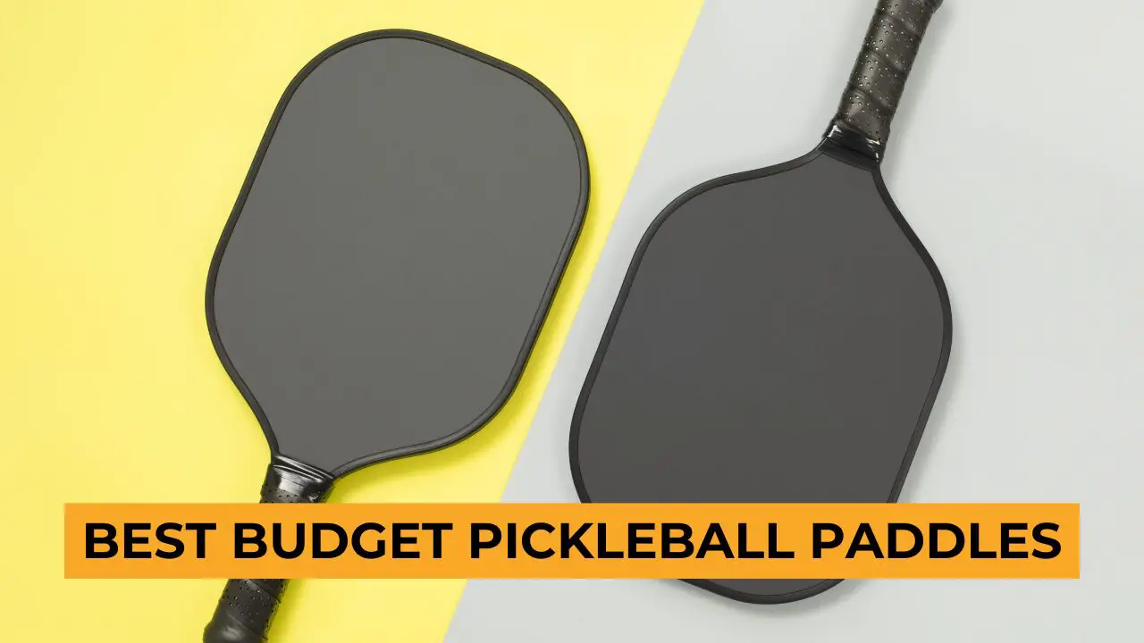 Best budget pickleball paddles