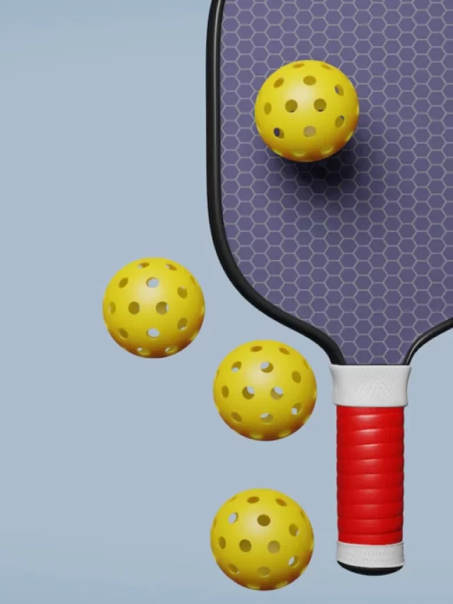 WHAT IS PICKLEBALL SPORT?