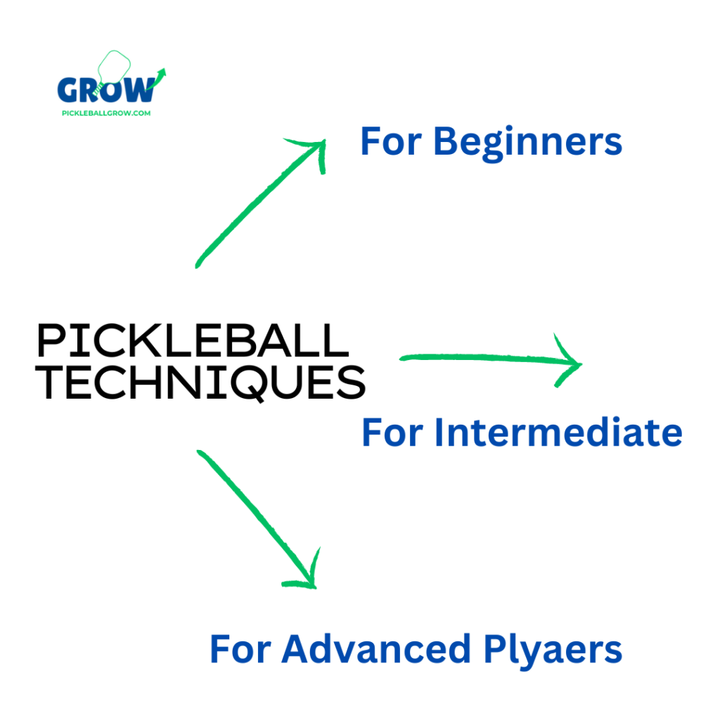 Pickleball Techniques for Winning the game